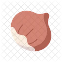 Chesnut  Icon