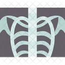 Chest Xray Radiology Icon