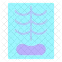Chest Ray Lung Icon