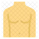 Human Body Chest Six Pack Icon
