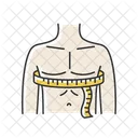 Chest Size  Icon
