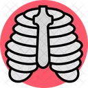 Chest structure  Icon