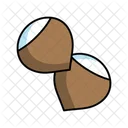 Chestnut  Icon