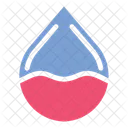 Chestnut Nut Nature Icon