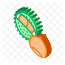 Chestnut Nut Food Icon