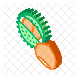 Chestnut  Icon