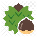 Chestnut  Icon