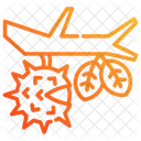 Chestnut  Icon