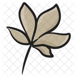 Chestnut Leaf  Icon