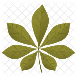 Chestnut Leaf Icon