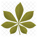 Chestnut Leaf Leaf Foliage Icon