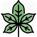 Chestnut leaf  Icon