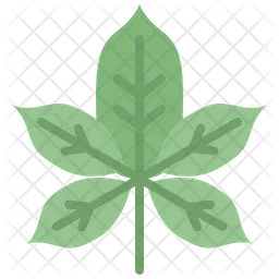 Chestnut leaf  Icon