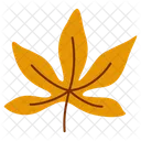 Chestnut Leaf  Icon