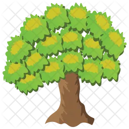 Chestnut Tree  Icon