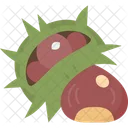 Chestnuts  Icon