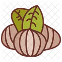 Chestnuts Nuts Chocolates Icon