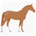 Cheval Poney Jument Icon