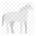 Cheval Zoo Animaux Icon