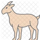 Chevre Animal De Compagnie Mammifere Icône