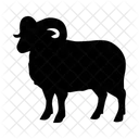 Animaux Sacrificiels Animal Faune Icon