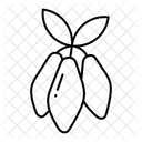  Icône