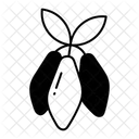  Icône