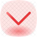 Chevron Down Icon