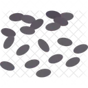 Chia  Icon