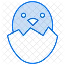 Chick Egg Hatch Icon