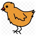 Chick Easter Chick Baby Chick Icon