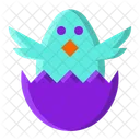 Chick Chicken Egg Icon