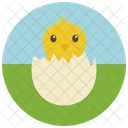 Chick Hatching Egg Icon