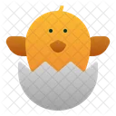 Chick Egg Spring Icon