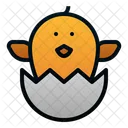 Chick Egg Spring Icon