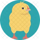 Chick Young Bird Icon