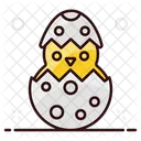 Chick Easter Eggs Chicken Icon