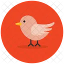 Chick Creature Bird Icon