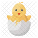 Chick Baby Chick Poultry Chick Icon