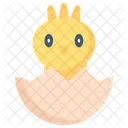 Animal Bird Chick Icon