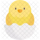 Chick Bird Egg Shell Icon
