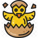 Chick Chicken Hatch Icon