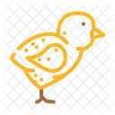 Chick  Icon