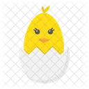 Chick Hatched Egg Icon