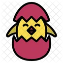 Chick Egg Chicken Icon