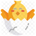 Chick Egg Chick Egg Icon