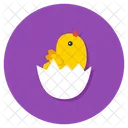 Chick Hatched Chick Birth Eggshell Icon