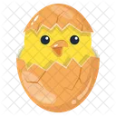 Chick Hatching Eggshell Easter Egg Icon