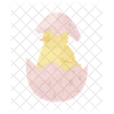 Chick hatching  Icon