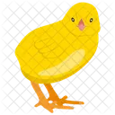 Chick  Icon